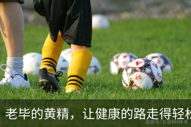 老毕的黄精，让健康的路走得轻松又愉快！